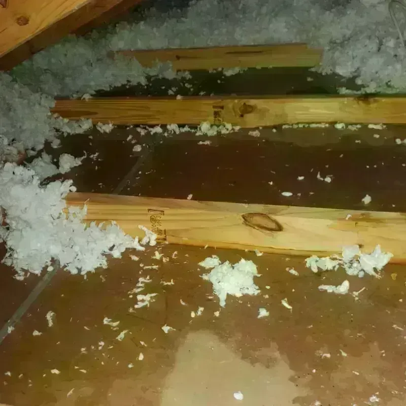 Attic Water Damage in Jennings, LA